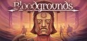 Bloodgrounds PC Steam CD Key 1