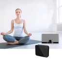 Bluetooth-audioadapter 30-pins K2692 2