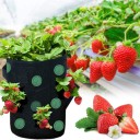 Blumentopf für Erdbeeren 2