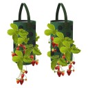 Blumentopf für Erdbeeren 4