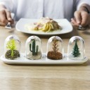 Bocaux à épices décoratifs 4 pièces 2