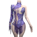 Body de dança feminino com lantejoulas e franjas, um braço longo, gola alta e rede, material rayon, para dança latina e atuações 8