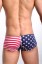Bokserki męskie sexy - flaga USA 3