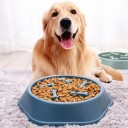 Bol anti-glouton 17x20x4cm pour chats et chiens avec picots internes contrôle de la vitesse d'alimentation, prévention de l'ingestion rapide de nourriture, design ergonomique 6