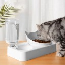Bol pour chats avec distributeur d'eau 1
