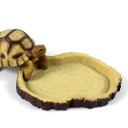 Bol pour eau et nourriture pour reptiles C855 2
