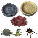 Bol pour eau et nourriture pour reptiles 2