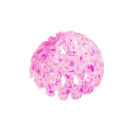 Bolleklips T931 1