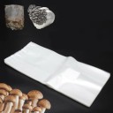 Bolsa para cultivo de setas con filtro 50 uds. 1