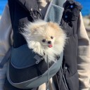 Bolsa para perros 2