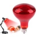 Bombilla de fisioterapia infrarroja de 100 W, luz roja E27, para aliviar el dolor muscular, la circulación sanguínea y las articulaciones 2