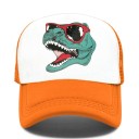 Boné com dinossauro 16