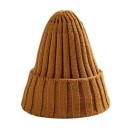 Bonnet d'hiver pour femmes 20