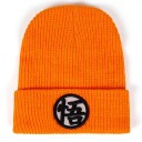 Bonnet d'hiver pour homme en 2 couleurs 2