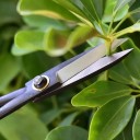 Bonsai-saks med lange håndtag og smalle blade 4,5 cm Stål sorte Have-saks til formning af planter og præcise snit 5