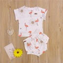 Børne-T-shirt og shorts L1486 5