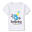 Børnefødselsdags-t-shirt 13