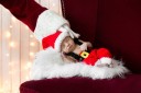 Børnekostume til julemanden til fotosession A437 3