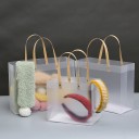 Borsa di plastica trasparente 10 pz 2