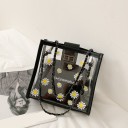 Borsa trasparente da donna 5