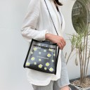 Borsa trasparente da donna 4