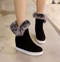 Bottes d'hiver élégantes pour femmes J1620 3