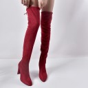 Bottes hautes pour femmes J1804 3