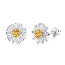 Boucles d'oreilles à clou pour femmes A1683 3