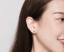 Boucles d'oreilles à clou pour femmes chien et os 4