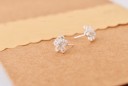 Boucles d'oreilles à clou pour femmes fleurs 4