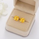 Boucles d'oreilles à clou pour femmes G1456 13