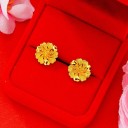 Boucles d'oreilles à clou pour femmes G1456 33