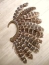 Boucles d'oreilles avec plumes 8
