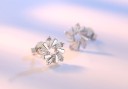 Boucles d'oreilles - Cercles en argent 4