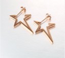 Boucles d'oreilles en forme d'étoile J2024 3