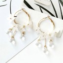 Boucles d'oreilles pendantes pour femmes H812 11