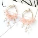 Boucles d'oreilles pendantes pour femmes H812 14
