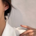 Boucles d'oreilles pour femmes avec des zirconiums G495 2