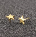 Boucles d'oreilles pour femmes C1069 5
