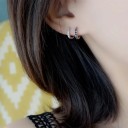 Boucles d'oreilles pour femmes en forme de cercle avec des zircons C1056 5