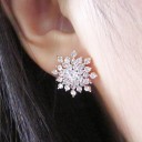 Boucles d'oreilles pour femmes flocons 1