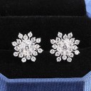 Boucles d'oreilles pour femmes flocons 5