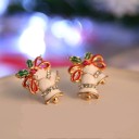 Boucles d'oreilles pour femmes G1330 13