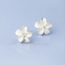 Boucles d'oreilles pour femmes G1346 20