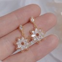 Boucles d'oreilles pour femmes G356 19