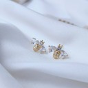 Boucles d'oreilles pour femmes H800 13