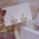 Boucles d'oreilles pour femmes H800 17