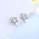 Boucles d'oreilles pour femmes H829 5