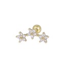 Boucles d'oreilles pour femmes R100 4