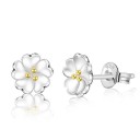 Boucles d'oreilles pour femmes R129 25